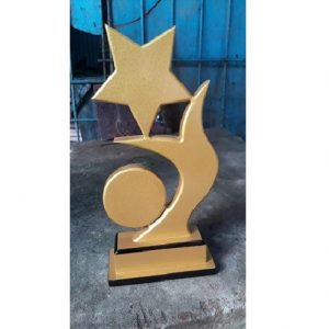 Star-and-Circle-System-Award-Presentation-Gift-Item-Products-Customised (1)
