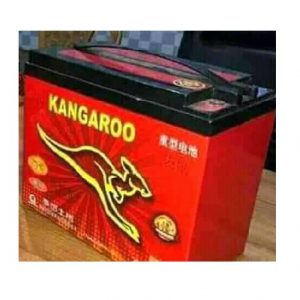 Kangaroo-95ah-Rickshaw-Battery-BD-Price-in-Bangladesh